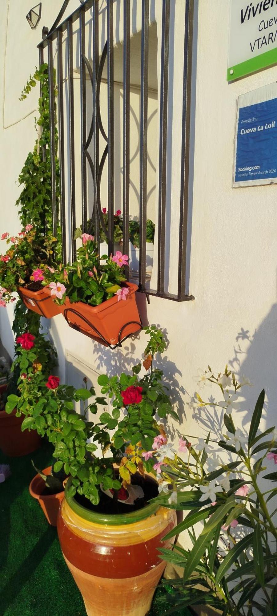 Cueva La Loli Villa Guadix Ngoại thất bức ảnh